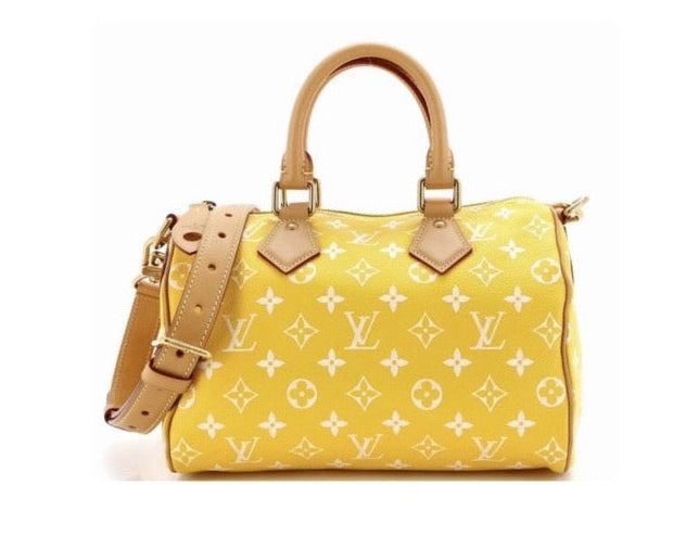 louis speedy